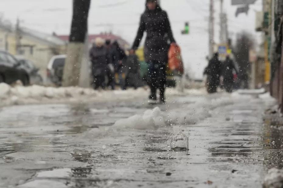 Такой весны на нашем веку еще не случалось: синоптики назвали даты прихода аномальной жары