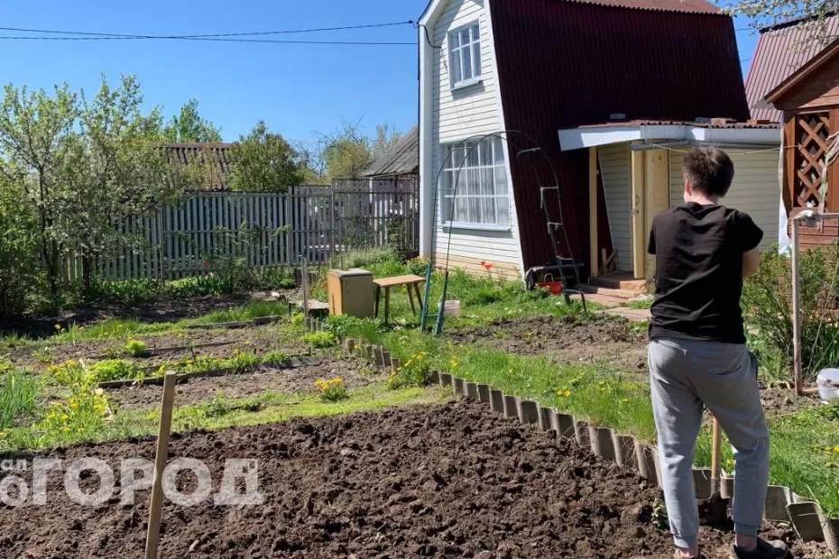 Сорняки завянут и не вернутся на участок: соль в помощь дачникам - гениальный секрет, доступный каждому