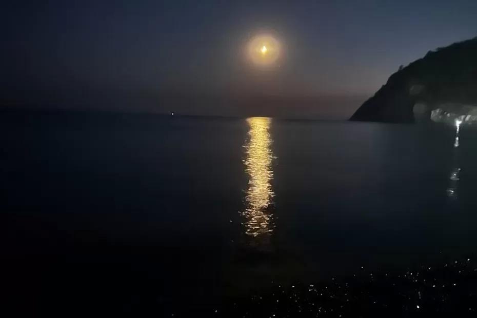 Цены ниже, а впечатлений гораздо больше: секретный курорт Черного моря, где отдыхают только «свои» Цены ниже, а впечатлений гораздо больше: секретный курорт Черного моря, где отдыхают только «свои»