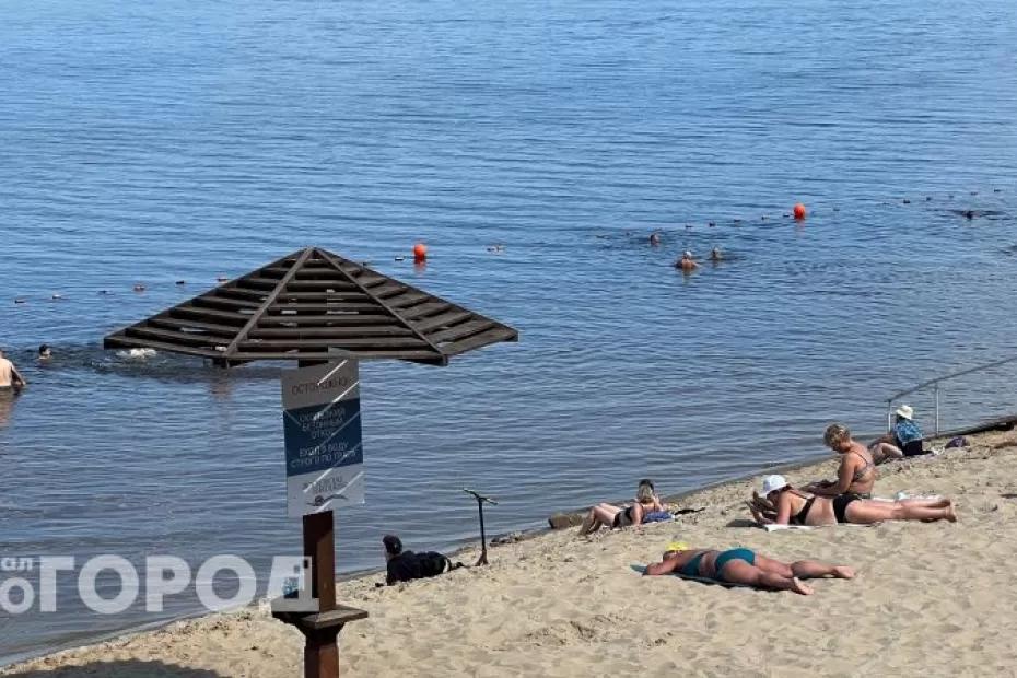«Еле убежали от этого гостеприимства»: российский турист дал честный отзыв об отдыхе в Абхазии