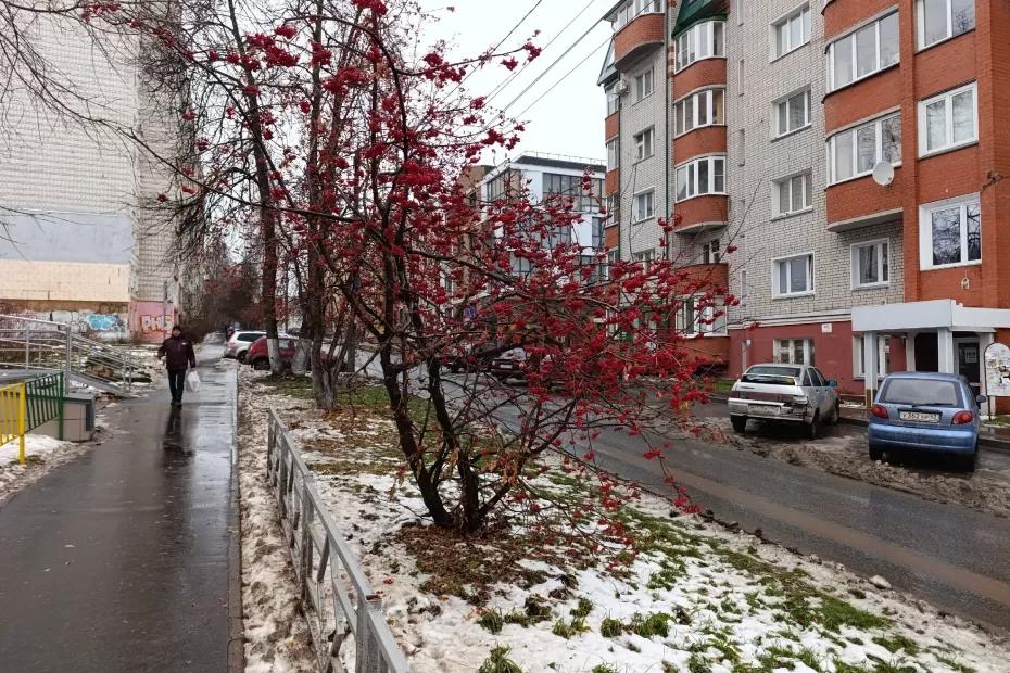 Морозы до -10 ударят без предупреждения: синоптики предупредили о морозах и мокром снеге в конце июня Морозы до -10 ударят без предупреждения: синоптики предупредили о морозах и мокром снеге в конце июня
