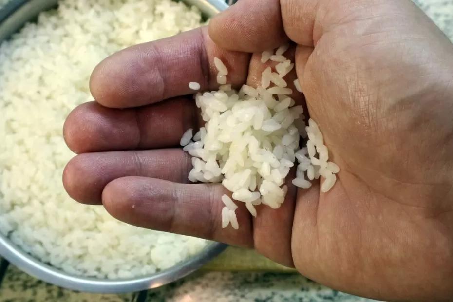 Рассыпчатый рис, который не пригорит: 10 советов, как сварить идеальный гарнир Рассыпчатый рис, который не пригорит: 10 советов, как сварить идеальный гарнир