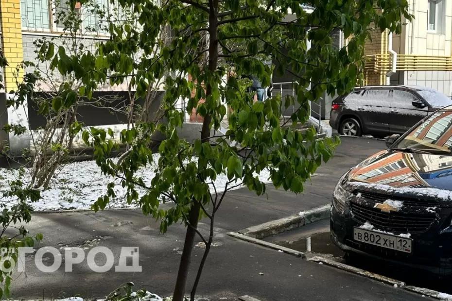 Заморозки и снег: арктическое вторжение принесет россиянам аномальный июль - урожай под угрозой