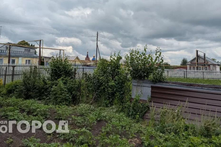 Туалет на участке заставят снести: новые требования к дачникам заработают с 5 июля Туалет на участке заставят снести: новые требования к дачникам заработают с 5 июля