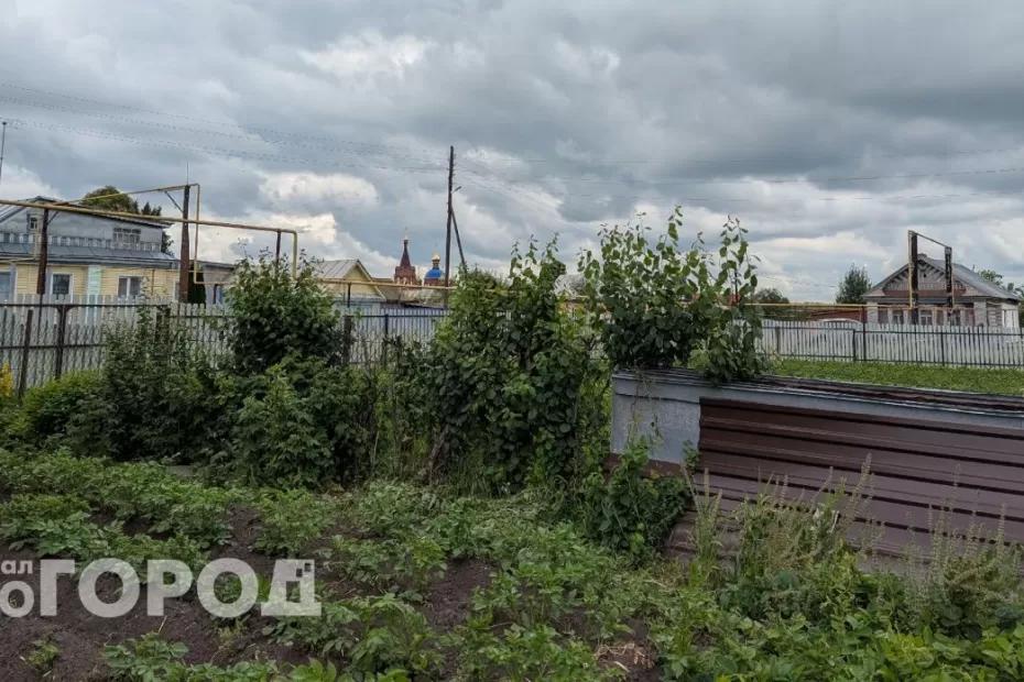 Заморозки в июле убьют напрочь весь урожай: осталось несколько дней