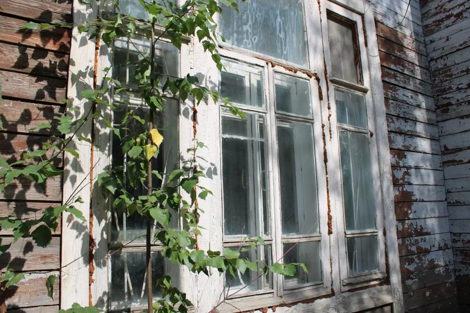 На окна ничего не клею, кондиционер тоже не нужен: стащила идею у южан - дома свежо даже в адскую жару На окна ничего не клею, кондиционер тоже не нужен: стащила идею у южан - дома свежо даже в адскую жару