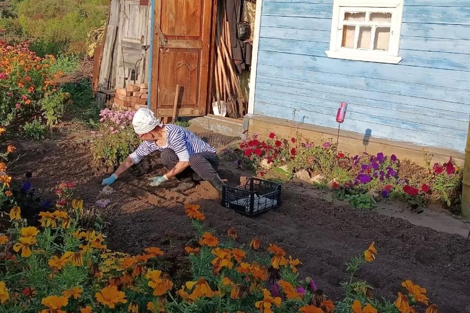 500 рублей, и вся земля превращается в чернозём. Без навоза, перегноя и лишних хлопот
