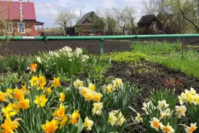 Россияне схватились за сердце: с 15 апреля будут штрафовать за некрасивый забор на даче или огороде