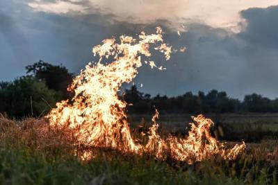 Дьявольское пекло замучает Россию, города окутает дым пожара: прогноз Вильфанда на лето и осень 2024