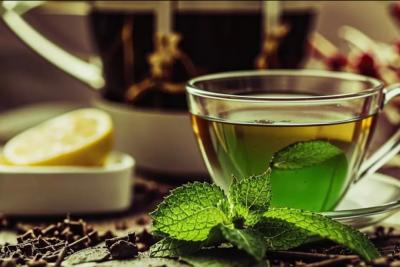 Ферментируем мяту и мелиссу: как дома получить полезный и насыщенный чай
