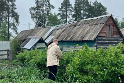 Овощ, который убивает почки: в Европе его больше вообще не едят