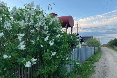 Каждый сентябрь закапываю на огороде тряпку с керосином: вот зачем так делаю - пользы на миллион