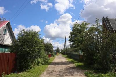 Закапываем это под кустом - смородина крупнее винограда: богатейший урожай без особых хлопот