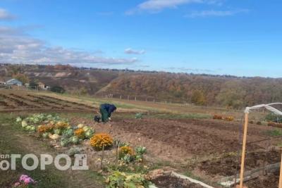 Пластиковые бутылки не выкидываю: приспособила на участке для полива и защиты и бед не знаю