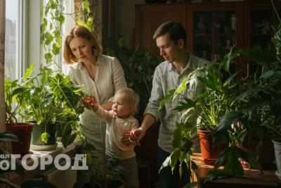 Немедленно выбросьте их из дома: эти милые комнатные цветы убивают ядом и лишают зрения