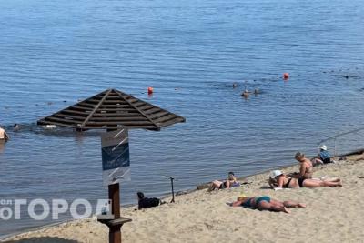 «Еле убежали от этого гостеприимства»: российский турист дал честный отзыв об отдыхе в Абхазии