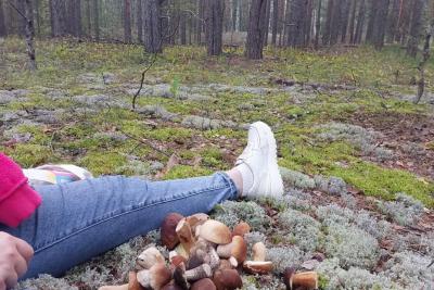 Любителей тихой грибной охоты будут задерживать и штрафовать прямо в лесу: строгое правило с 1 июля