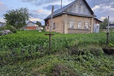 Как только начал цвести картофель - тут же сыплю под корень: 20 кустов выдают урожай на всю зиму
