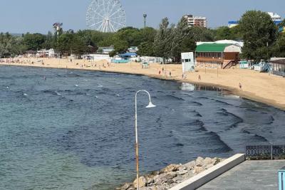 Оперштаб: черные водоросли на побережье Анапы - это не нефть, а результат процесса гниения