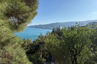 «Чистейшее море, белоснежный песок и фрукты за копейки»: туристы поделились первыми отзывами о райском отдыхе в Абхазии-2025