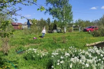 Выгребную яму не откачиваю - больше не переполняется: cосед подсказал простое, но эффективное решение