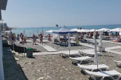 Отдых на Черном море сейчас лучше отложить - на побережье объявилась новая напасть
