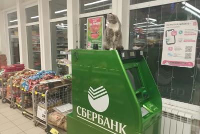 Сбер убирает банкоматы из ТЦ и отделений: россиянам сообщили причину масштабной ликвидации