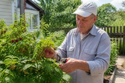 Жить одному - не одиночество, а свобода: 6 психологических причин, почему это нормально после 60