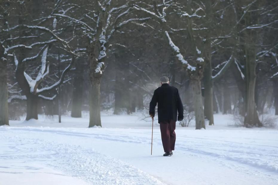 Новый шанс: эти пенсионеры получат звание &laquo;Ветеран труда&raquo; с 1 февраля 2026 года