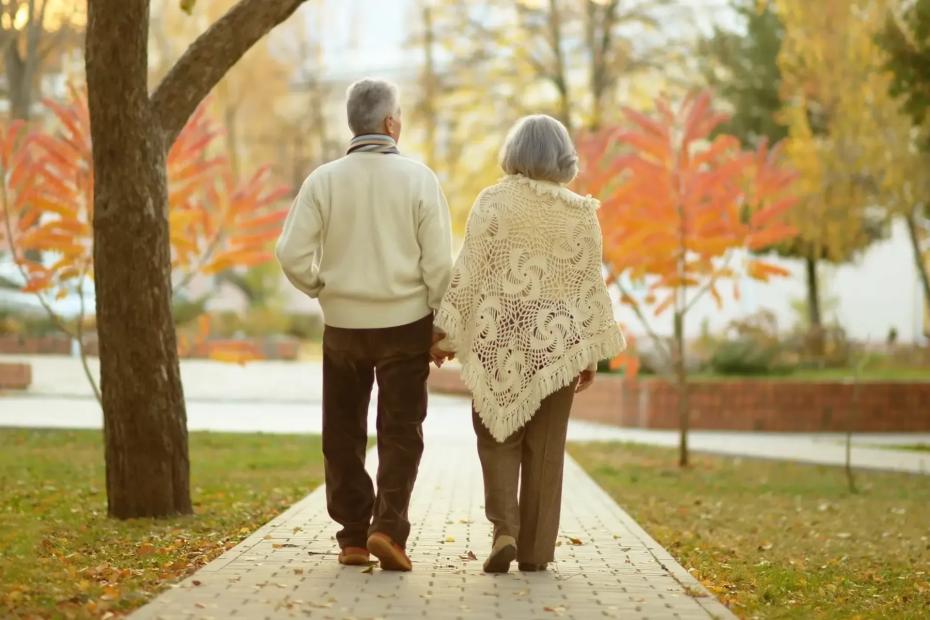 Какие льготы положены ветерану труда и можно ли получить за них деньги