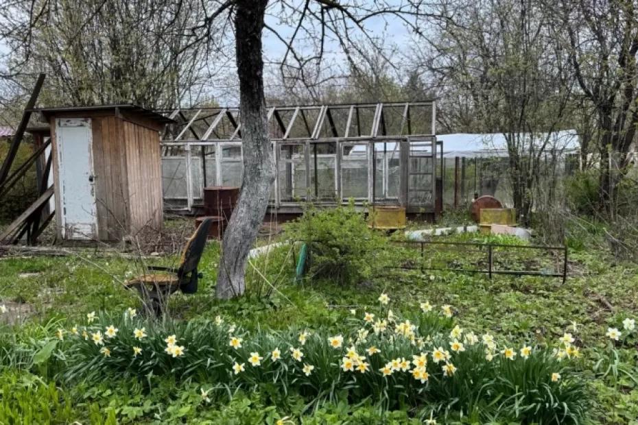 Каждый сентябрь закапываю на огороде тряпку с керосином: вот зачем так делаю - пользы на миллион и минимальные траты