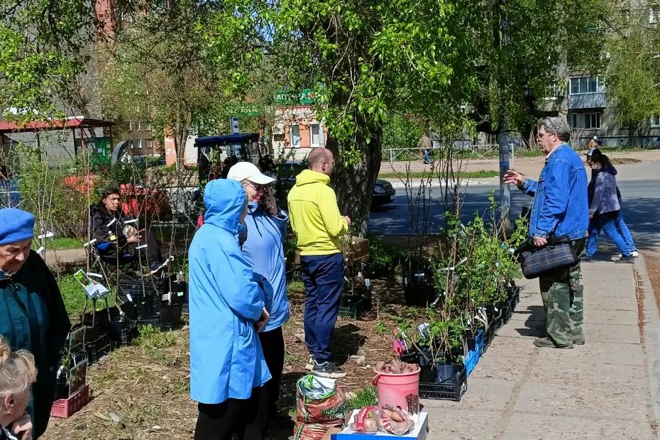 Опубликован обновленный график выхода на пенсию - пункты по годам