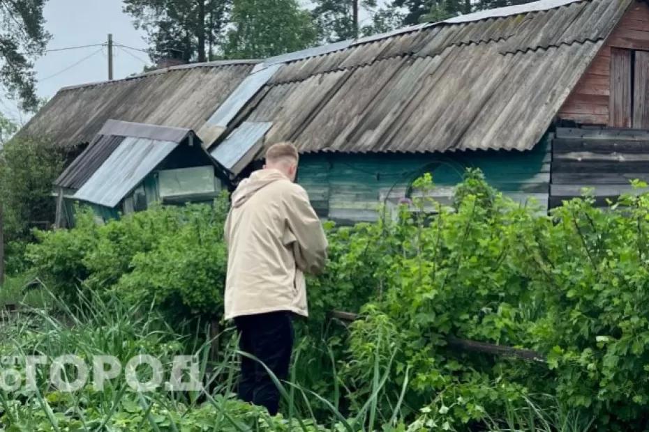 Рыхлая почва как пуховое облачко: вместо тонны компоста и удобрений сыплю 1 ложку муки на грядки