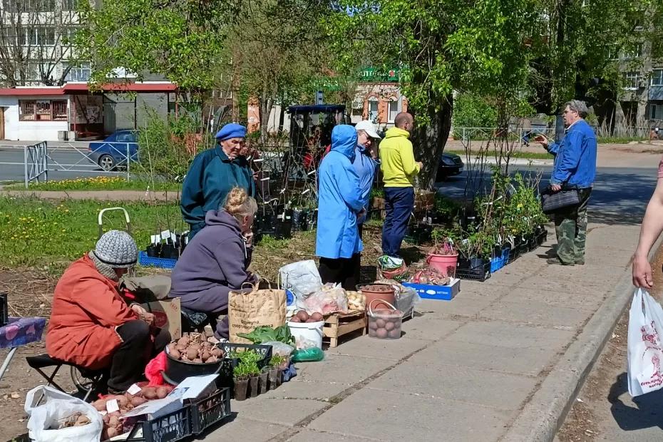 В июне получат сразу две пенсии: пенсионерам объявили о приятном сюрпризе В июне получат сразу две пенсии: пенсионерам объявили о приятном сюрпризе
