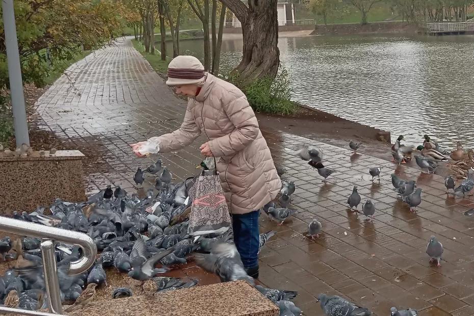 С 10 мая будет полностью бесплатно для всех пенсионеров: вводится новая долгожданная льгота С 10 мая будет полностью бесплатно для всех пенсионеров: вводится новая долгожданная льгота