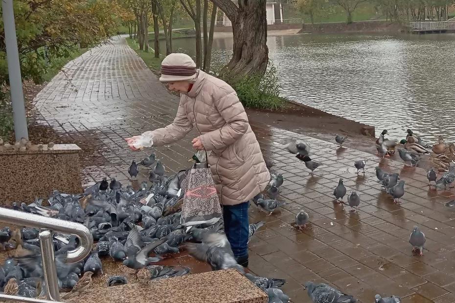 Подписан новый указ. Пенсионеров, у которых есть стаж 20-25 лет, ждет сюрприз Подписан новый указ. Пенсионеров, у которых есть стаж 20-25 лет, ждет сюрприз