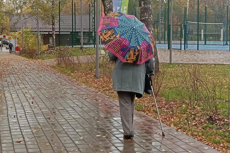 Пенсионерам выплатят все пропущенные индексации пенсий: названа дата Пенсионерам выплатят все пропущенные индексации пенсий: названа дата