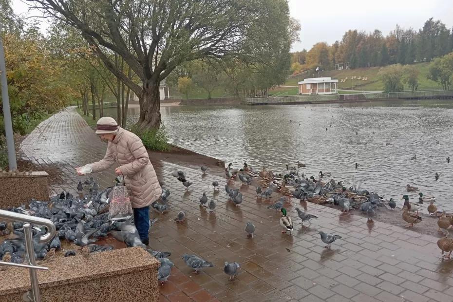 С 1 июля будет полностью бесплатно для всех пенсионеров: вводится новая долгожданная льгота