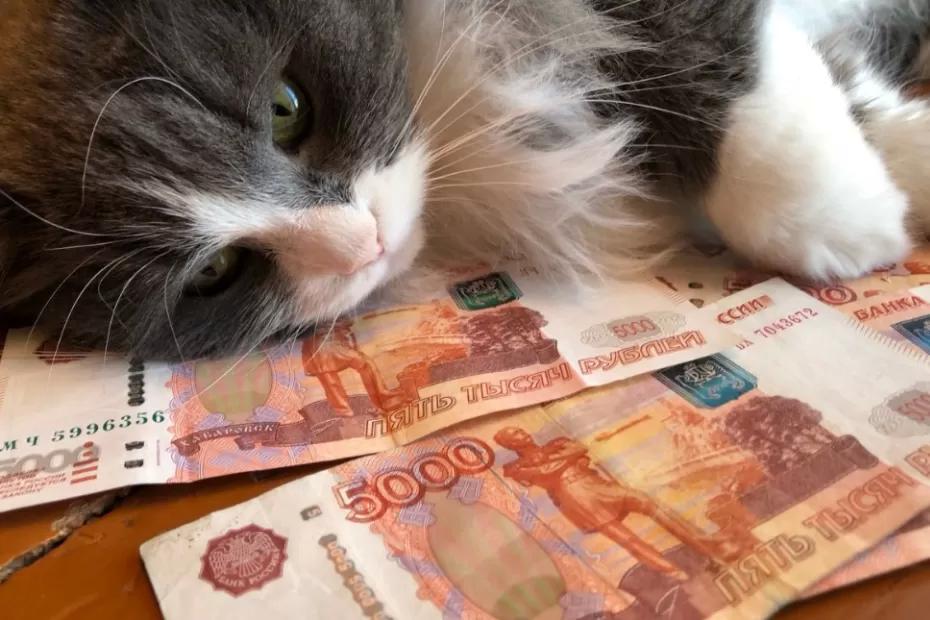 С 1 августа пенсии снова увеличат: кому и на сколько поднимут?