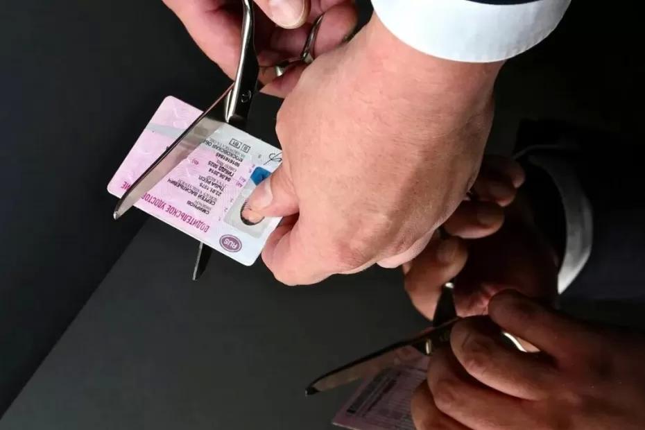 Лишение прав за кусты и налоги: нарушения, о которых вы не знали