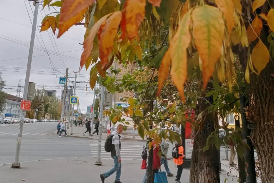 &laquo;Бабье лето впереди&raquo;: а что приготовил сентябрь 2025 года конкретно для вашего региона?