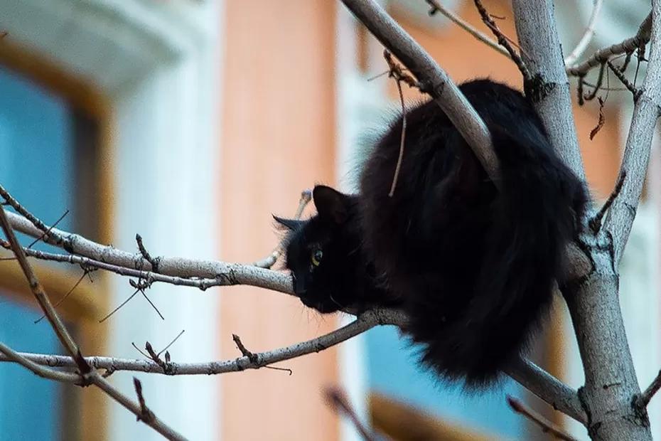 Сентябрь испытает на прочность: Василиса Володина опубликовала большой гороскоп на начало осени-2025