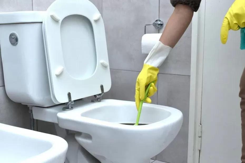 Все соседи завидуют: очистить унитаз до блеска можно за 5 минут бюджетным средством - будет белее снега