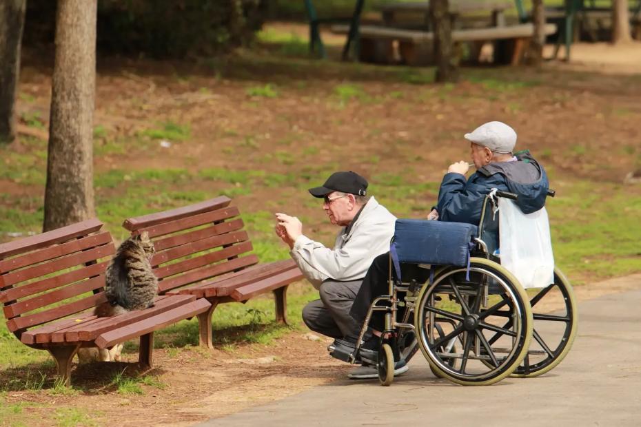 Что нужно знать каждому россиянину: вся правда о будущей пенсии в 2026 году