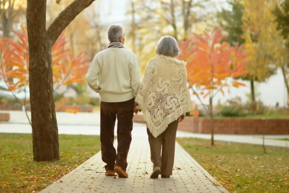 Пенсионеров освободят от выплат до декабря - кто получит льготу и прибавку к пенсии