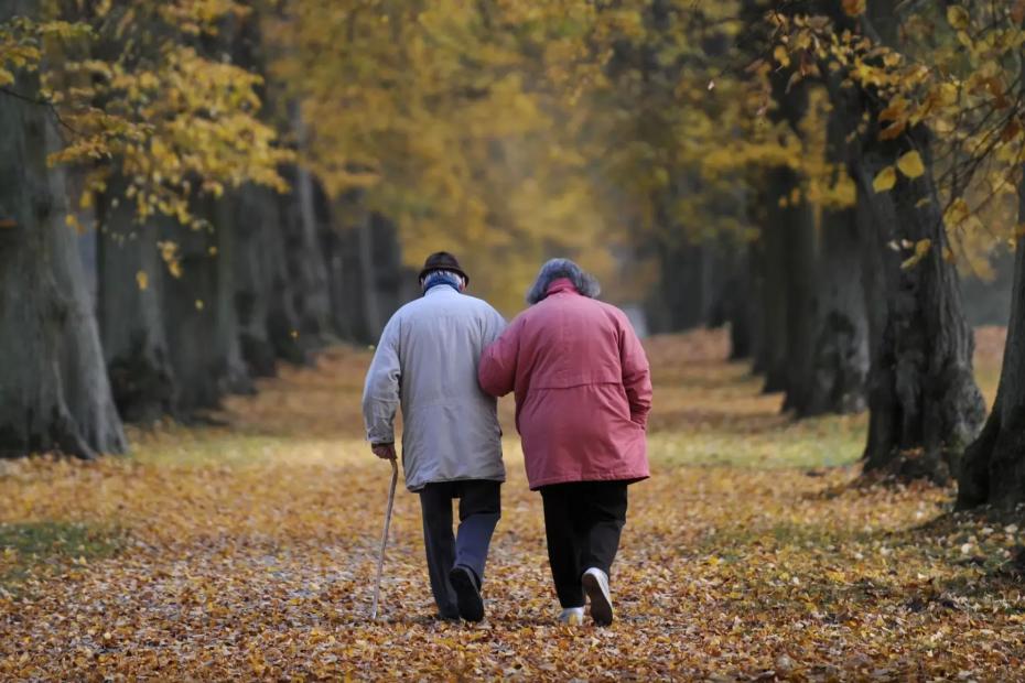 С 1 октября новые правила начисления пенсий и пособий - что меняется для получателей