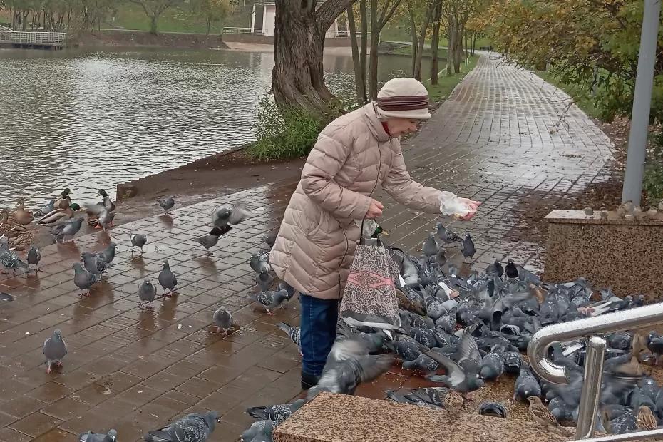 Как европейские пенсионеры живут с достоинством: стоит взять на заметку