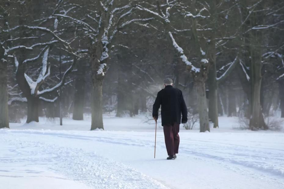 Новая индексация пенсий в 2026 году отменяется: в процесс внесут изменения