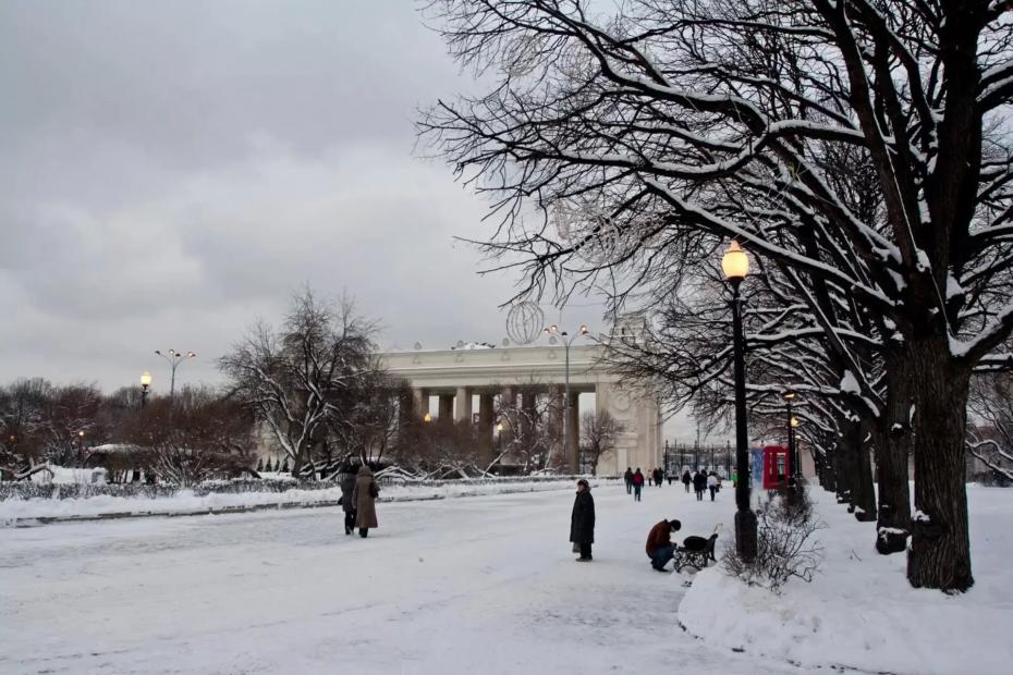 Объявлен новый порядок выхода на пенсию в 2026 году: автоматически и без заявлений