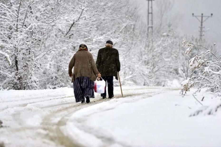Для пенсионеров, доживших до 65 лет, вводится изменение: теперь станет бесплатно